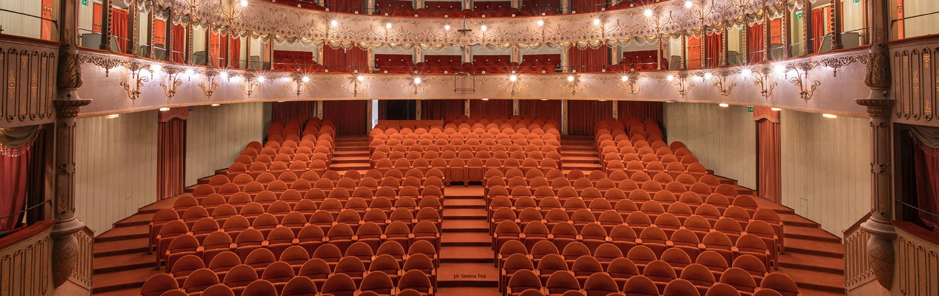 Goldoni Theater, Venice - Aresline